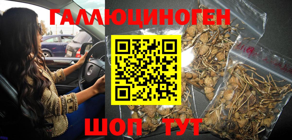 Галлюциногенные грибы MAGIC MUSHROOMS  Вход с VPN  Псилоцибиновые грибы мицелий  Губкин 