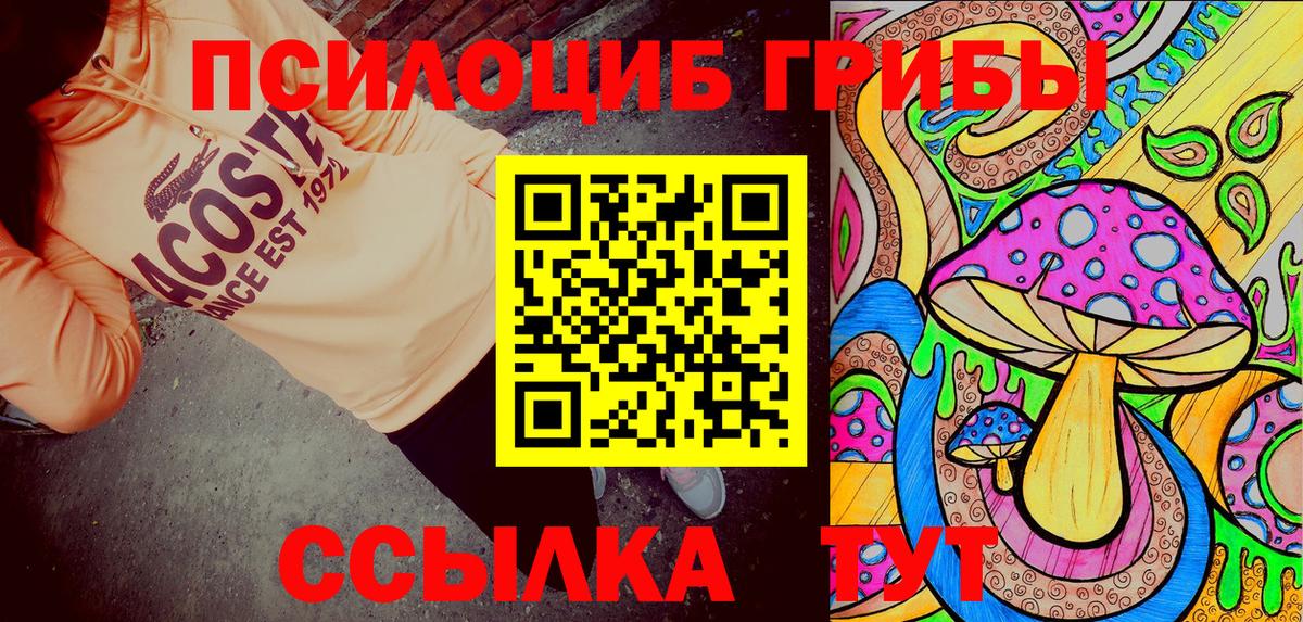 Псилоцибиновые грибы ЛСД Губкин